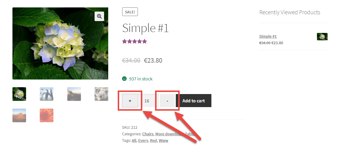 Add to Cart Quantity Plus & Minus Buttons